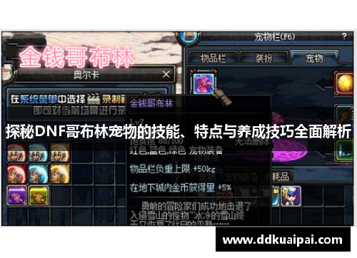 探秘DNF哥布林宠物的技能、特点与养成技巧全面解析